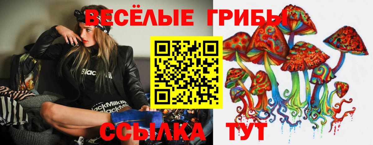 Галлюциногенные грибы Cubensis Лиски